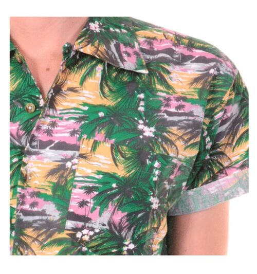 Camisa palm hawaiian